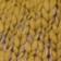 Gold Velvet