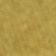 Golden Palm