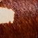 Brown Pattern
