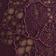 Pinot Noir