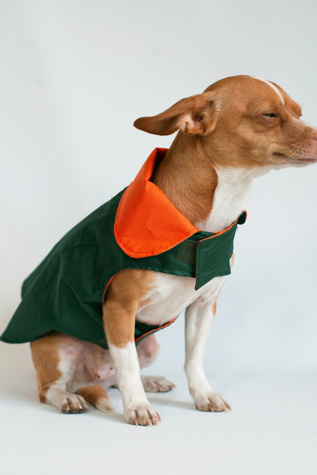 MODERNBEAST Reversible Dog Raincoat