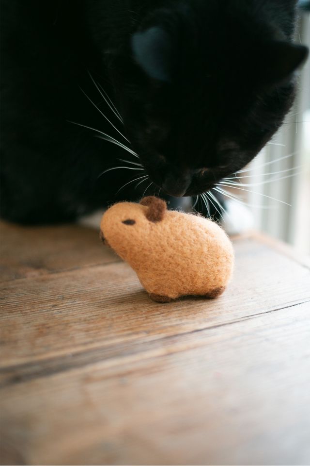 MODERNBEAST Capybara Wool Dog Toy #2