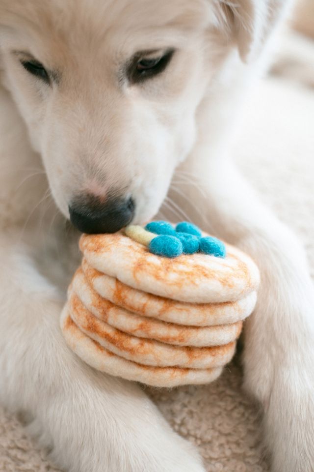 MODERNBEAST Stack of Pancakes Wool Dog & Cat Toy #1