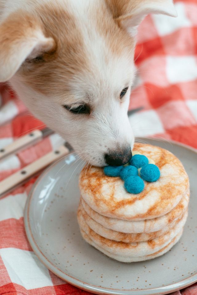 MODERNBEAST Stack of Pancakes Wool Dog & Cat Toy #2