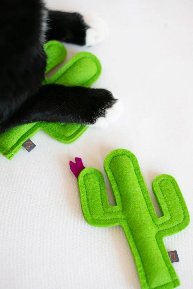 MODERNBEAST Cactus Catnip Toy #2