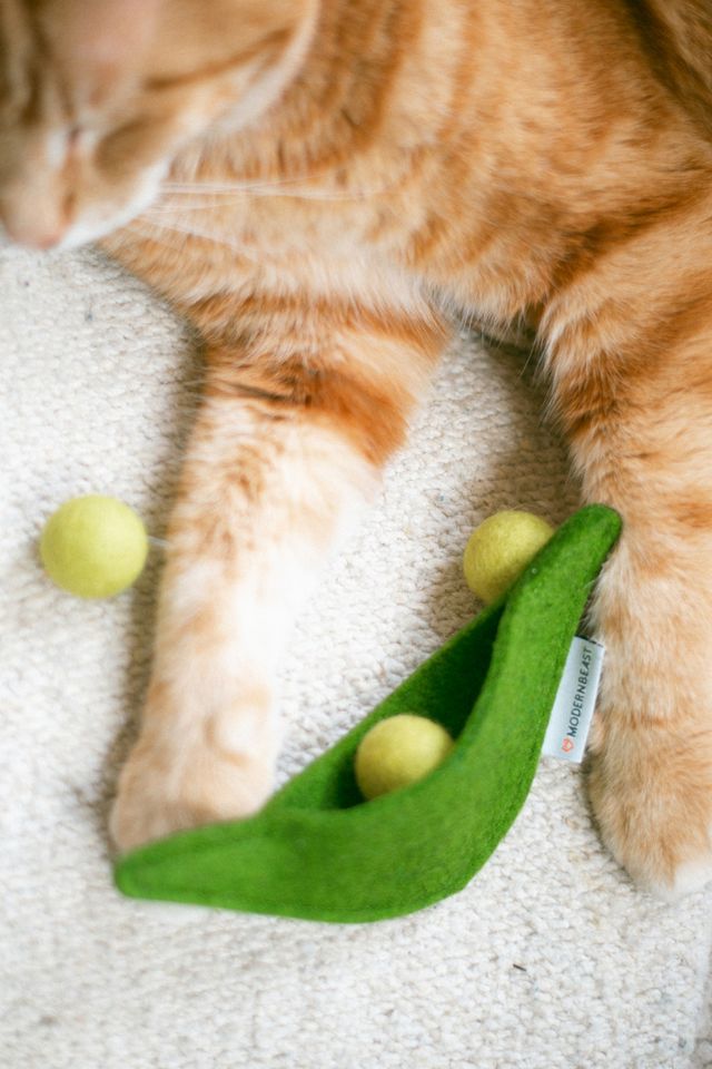 MODERNBEAST Pea Pod Wool Cat Toy #1