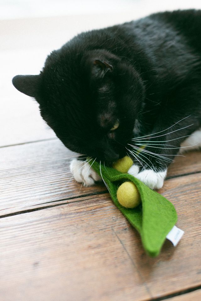 MODERNBEAST Pea Pod Wool Cat Toy #2