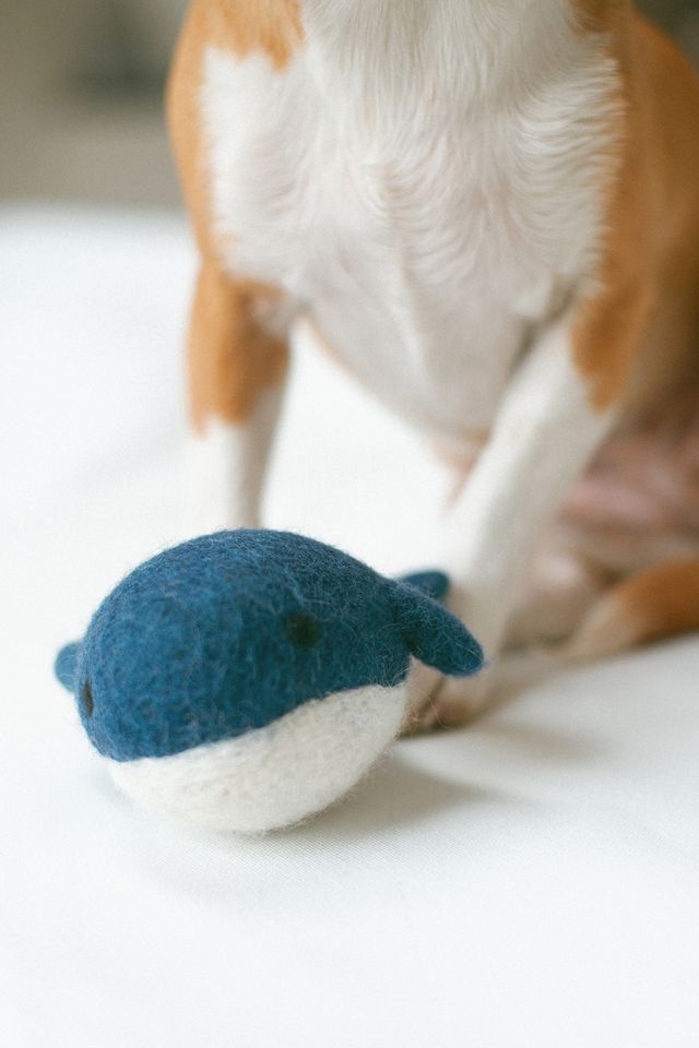 MODERNBEAST Whale Wool Dog Toy #2
