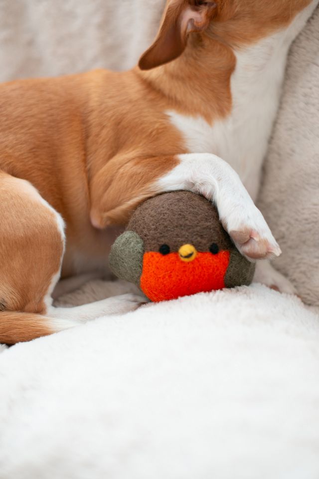 MODERNBEAST Robin Beastball Dog Toy #1