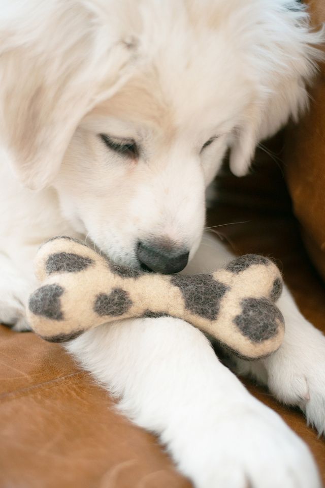 MODERNBEAST Cow Print Woolbone Dog Toy #1