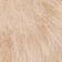 Vanilla Bean