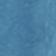 Blue Parrot