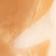 Shiba
