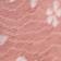 Pink Icing Combo
