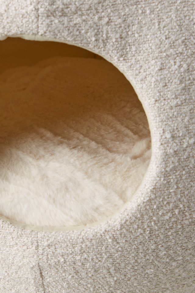 Catenary Moon Pet Cave #2