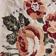 Roses - Pearl Combo