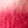 Bubblegum