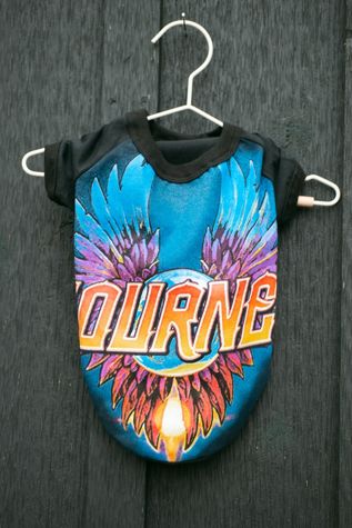 MODERNBEAST Repurposed Dog Tee Journey