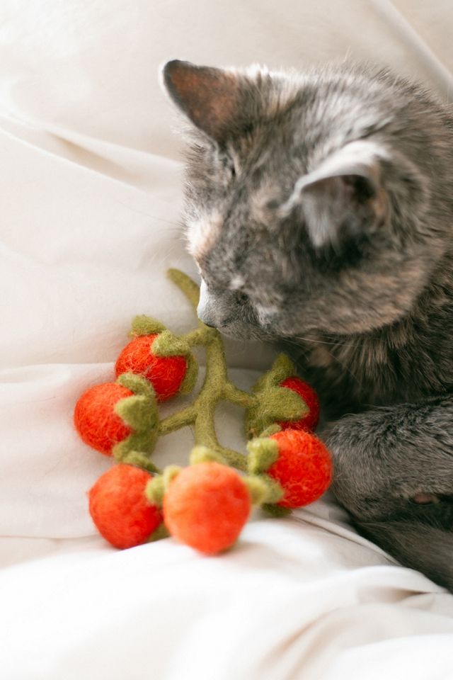 MODERNBEAST Cherry Tomato Vine Wool Dog & Cat Toy #2