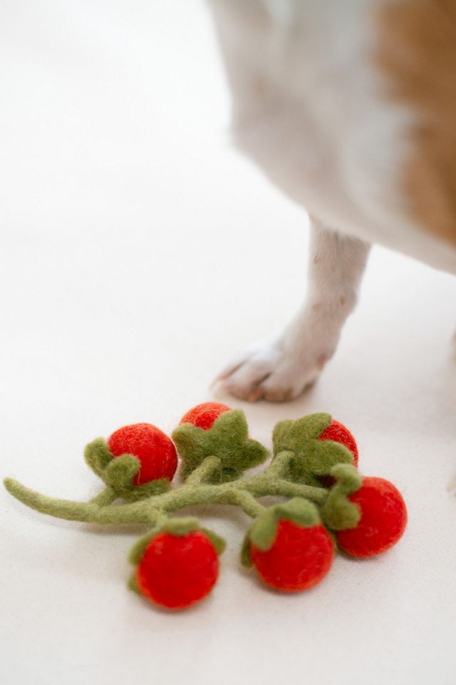 MODERNBEAST Cherry Tomato Vine Wool Dog & Cat Toy #3