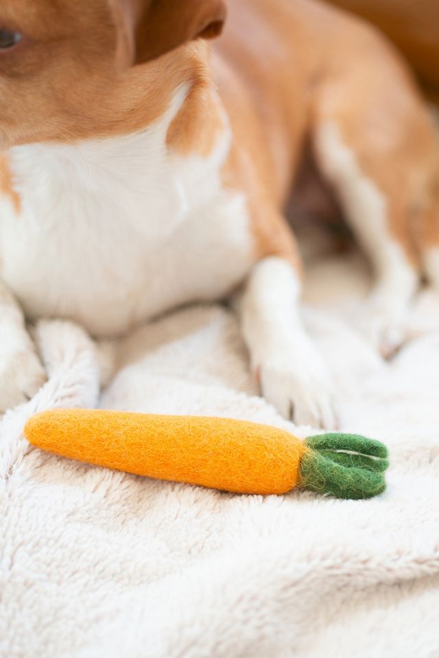 MODERNBEAST Heirloom Carrot Wool Dog & Cat Toy #1