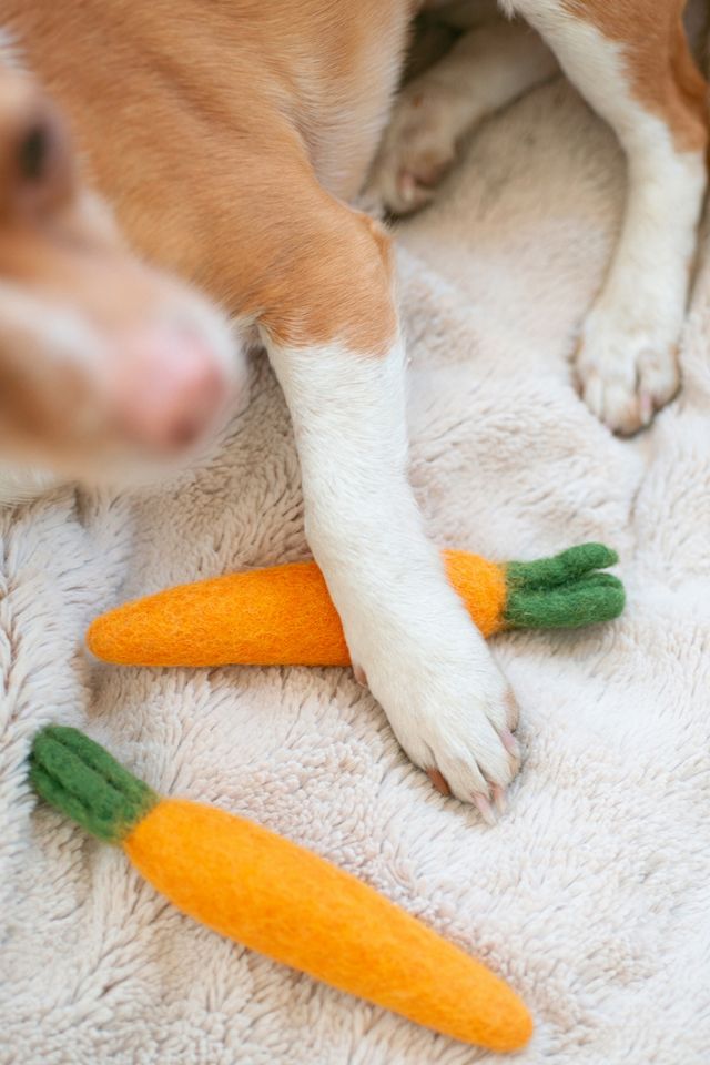 MODERNBEAST Heirloom Carrot Wool Dog & Cat Toy #2