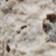 Copal Blanco