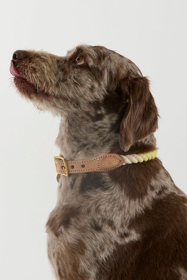 Cotton Tie Dye Rope Collar #4