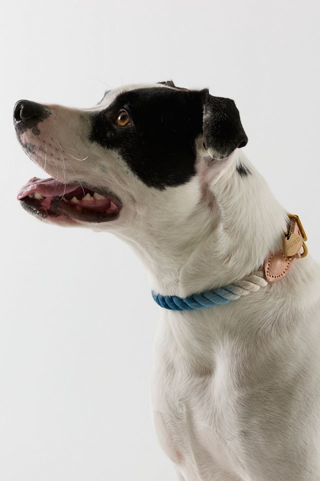 Cotton Tie Dye Rope Collar #1