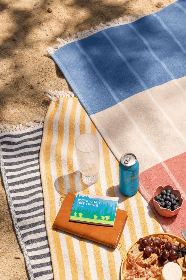 Sunday Citizen Spritz Reversible Lightweight Beach Blanket #3