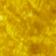 Yellow Combo