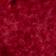 Holly Red