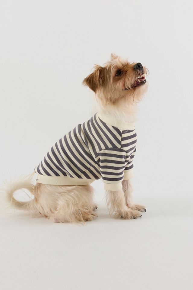 FURB Camden Stripe Pet Sweatshirt #1