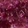 Rose Cardamome