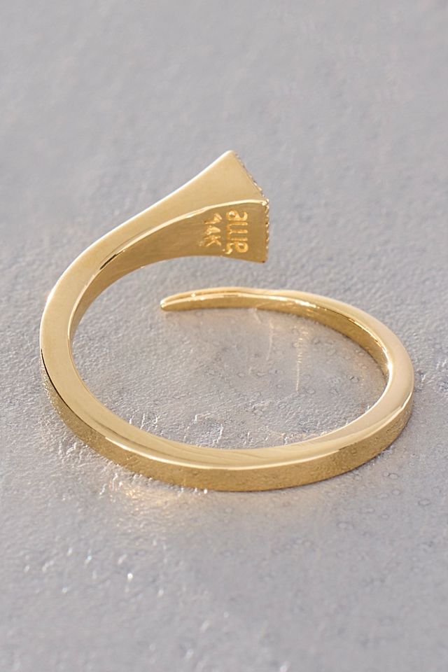 Awe Horseshoe Nail Gold Ring #1