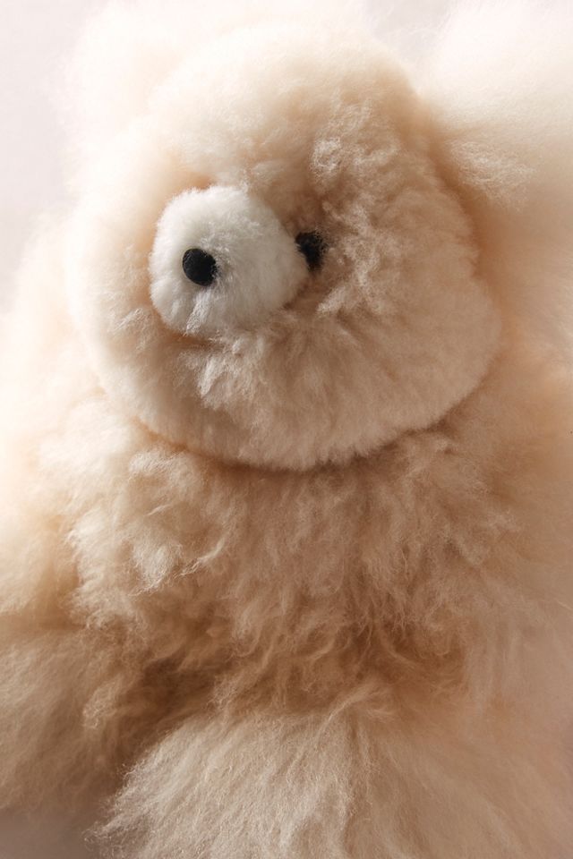 Medium Bear Plushie #2