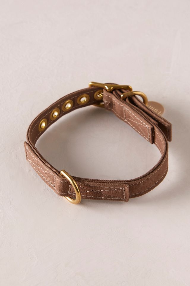 Waxed Cotton Canvas Collar #1