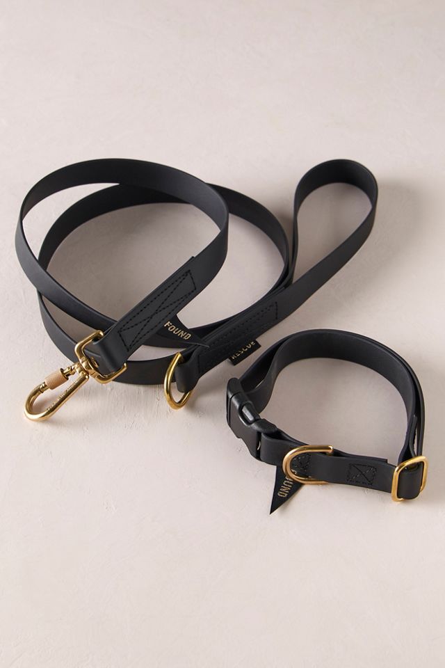 Water Resistant Standard Leash #1