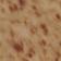 Red + Beige