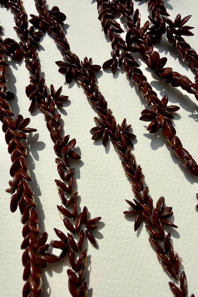 Appleseed Necklace Set Selected by Wax Plant #2