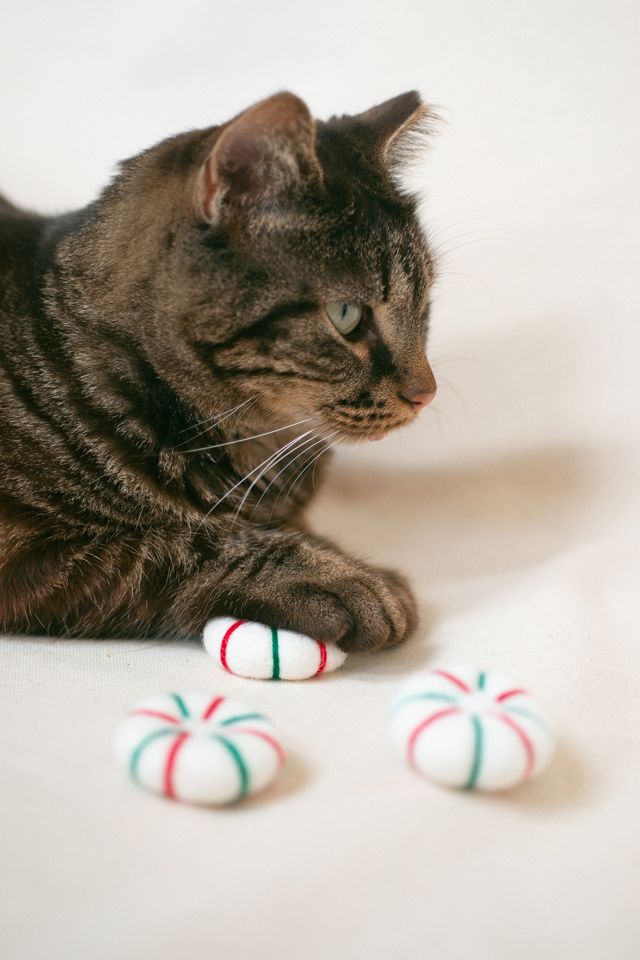 MODERNBEAST Kitty Peppermints Cat Toy Set #1