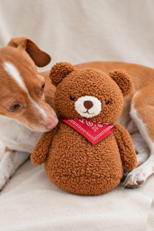 MODERNBEAST The Bandana Bear Plush Dog Toy