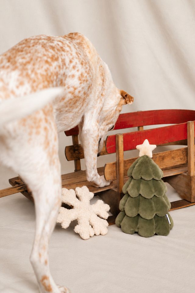 MODERNBEAST The Festive Tree Dog Toy #2