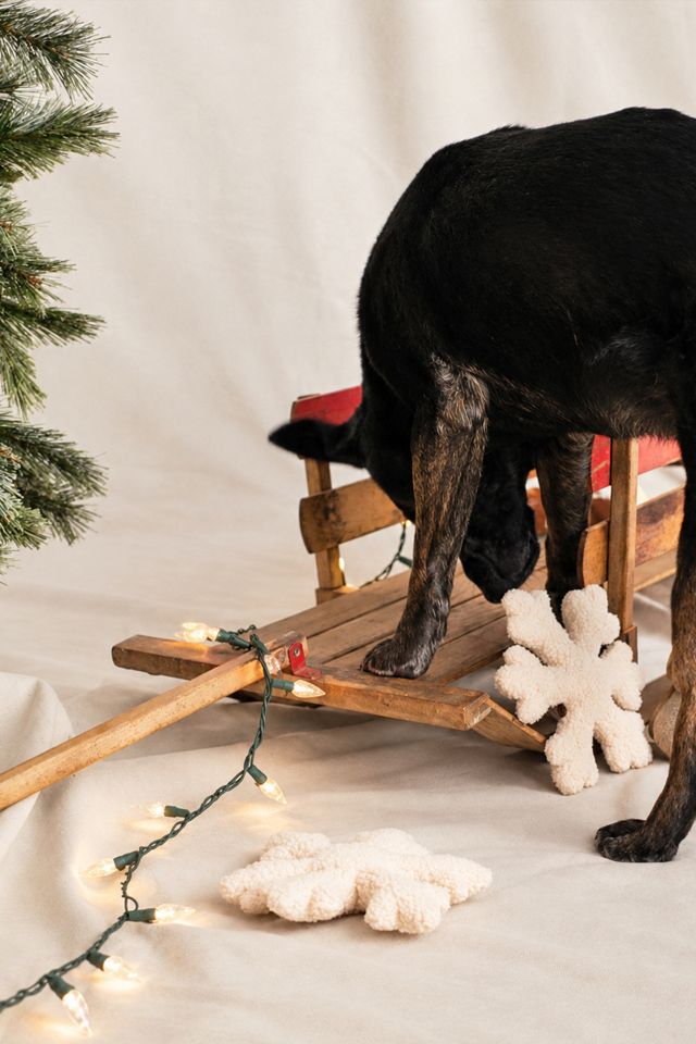MODERNBEAST The Snowflake Dog Toy #1