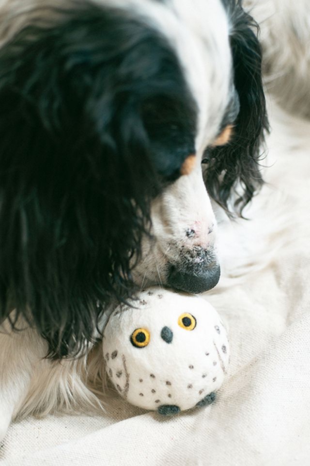 MODERNBEAST Snow Owl Beastball Wool Dog Toy #1