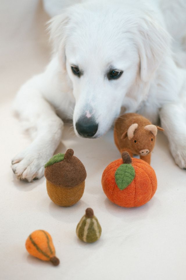 MODERNBEAST Fall Pumpkin Wool Dog Toy #4