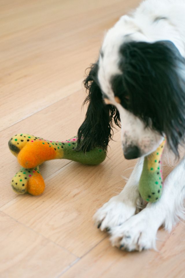 MODERNBEAST Rainbow Trout Woolbone Dog Toy #1