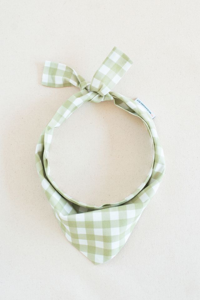 MODERNBEAST Pistachio Gingham Pet Bandana #1