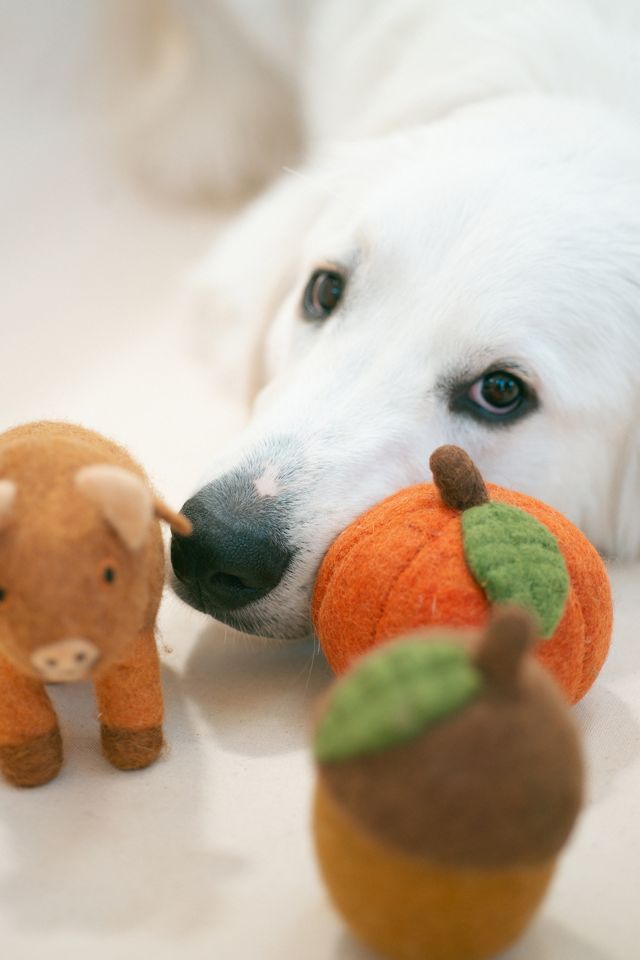 MODERNBEAST Acorn Wool Dog Toy #2