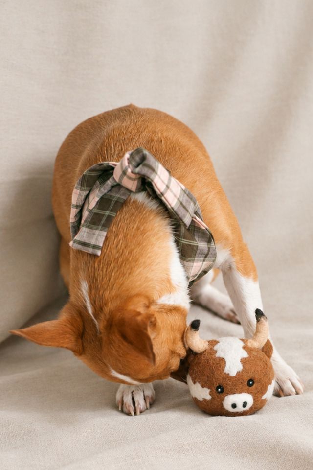 MODERNBEAST Texas Longhorn Beastball Wool Dog Toy #1